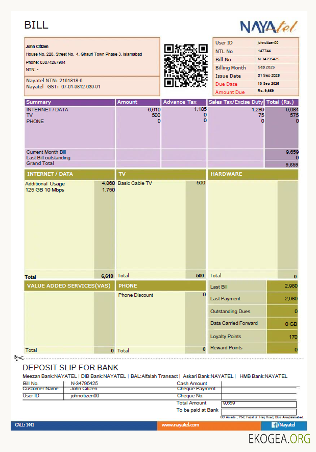 Pakistan NAYAtel utility bill template in Word and PDF formats